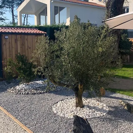 Sun Oasis L'oasis בית נופש